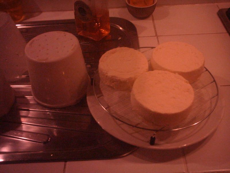 FROMAGE 009.jpg