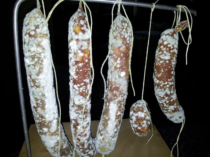 saucisson 15j 2.jpg