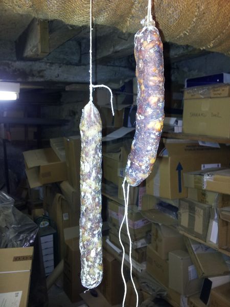 saucisson 1m2.jpg