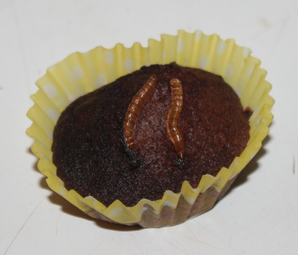 muffin_8091.JPG