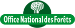 logo-v2.png