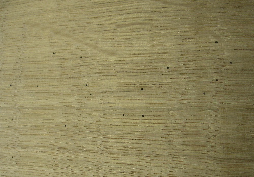IMGP3087.JPG