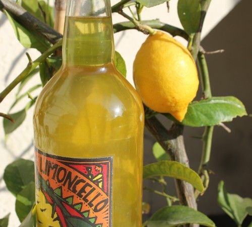 http://festin-quotidien.over-blog.com/article-limoncello-la-liqueur-de-citron-101128252.html