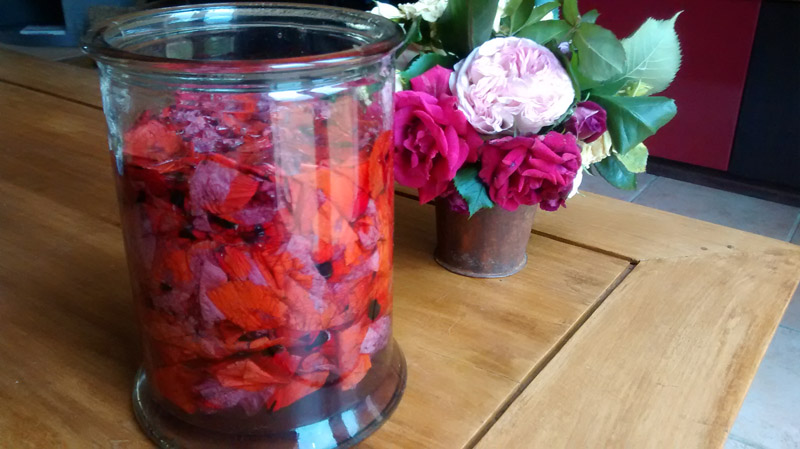 maceration coquelicots.jpg