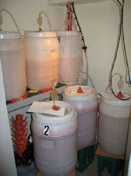 fermentation cours 2008 010.jpg