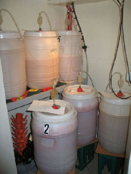 fermentation cours 2008 010.jpg