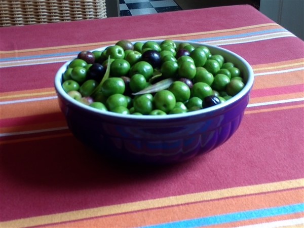 olives.jpg