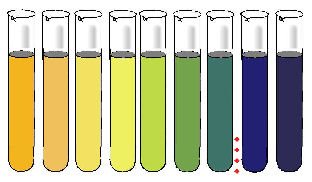 Bromothymol 01.jpg