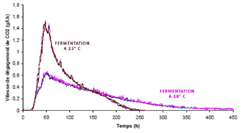 Co2 001.jpg